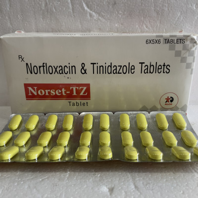 NORSET-TZ 6TAB