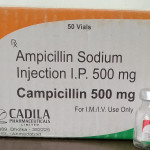 CAMPICILIN 500MG VIAL 50*1ML