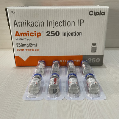 AMICIP 500  2ML