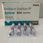 AMICIP 500  2ML