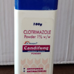 CANDIFUNG DUS POWDER  100GM