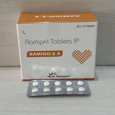 RAMIGO-2.5 10TAB